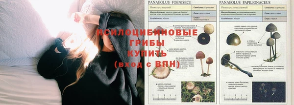 меф VHQ Богородск