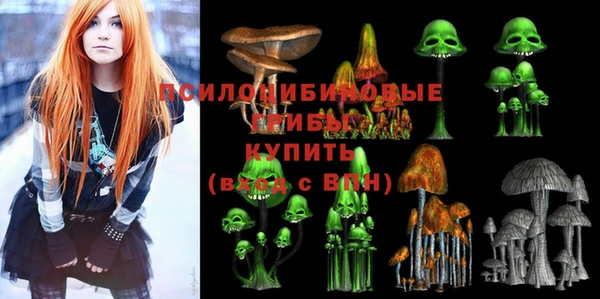 прущая мука Богородицк
